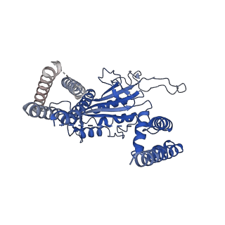 6877_5z1w_A_v1-2
Cryo-EM structure of polycystic kidney disease-like channel PKD2L1