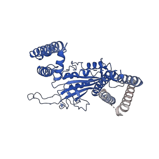 6877_5z1w_B_v1-2
Cryo-EM structure of polycystic kidney disease-like channel PKD2L1