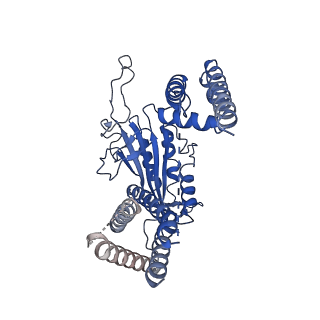 6877_5z1w_C_v1-2
Cryo-EM structure of polycystic kidney disease-like channel PKD2L1