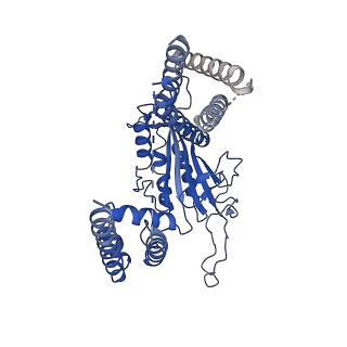 6877_5z1w_D_v1-2
Cryo-EM structure of polycystic kidney disease-like channel PKD2L1