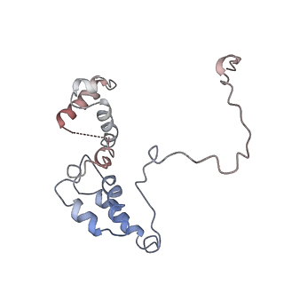 11041_6z2j_F_v1-0
The structure of the dimeric HDAC1/MIDEAS/DNTTIP1 MiDAC deacetylase complex