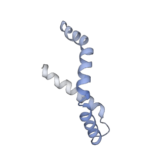11042_6z2k_A_v1-0
The structure of the tetrameric HDAC1/MIDEAS/DNTTIP1 MiDAC deacetylase complex