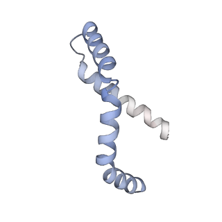 11042_6z2k_B_v1-0
The structure of the tetrameric HDAC1/MIDEAS/DNTTIP1 MiDAC deacetylase complex