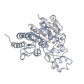 11042_6z2k_C_v1-0
The structure of the tetrameric HDAC1/MIDEAS/DNTTIP1 MiDAC deacetylase complex