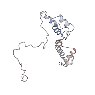 11042_6z2k_D_v1-0
The structure of the tetrameric HDAC1/MIDEAS/DNTTIP1 MiDAC deacetylase complex