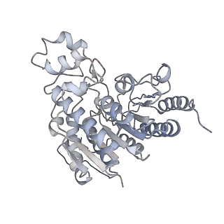 11042_6z2k_E_v1-0
The structure of the tetrameric HDAC1/MIDEAS/DNTTIP1 MiDAC deacetylase complex