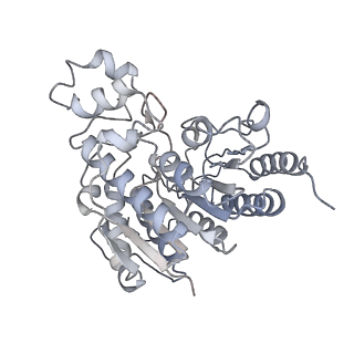 11042_6z2k_E_v2-0
The structure of the tetrameric HDAC1/MIDEAS/DNTTIP1 MiDAC deacetylase complex