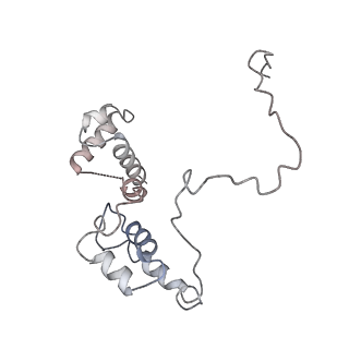 11042_6z2k_F_v1-0
The structure of the tetrameric HDAC1/MIDEAS/DNTTIP1 MiDAC deacetylase complex