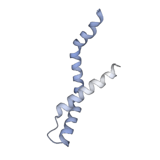 11042_6z2k_G_v1-0
The structure of the tetrameric HDAC1/MIDEAS/DNTTIP1 MiDAC deacetylase complex