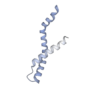 11042_6z2k_G_v2-0
The structure of the tetrameric HDAC1/MIDEAS/DNTTIP1 MiDAC deacetylase complex