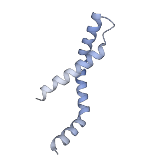 11042_6z2k_H_v1-0
The structure of the tetrameric HDAC1/MIDEAS/DNTTIP1 MiDAC deacetylase complex