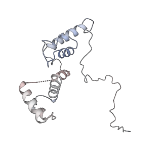 11042_6z2k_J_v1-0
The structure of the tetrameric HDAC1/MIDEAS/DNTTIP1 MiDAC deacetylase complex