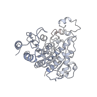 11042_6z2k_K_v1-0
The structure of the tetrameric HDAC1/MIDEAS/DNTTIP1 MiDAC deacetylase complex