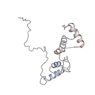11042_6z2k_L_v1-0
The structure of the tetrameric HDAC1/MIDEAS/DNTTIP1 MiDAC deacetylase complex