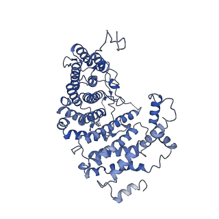 11050_6z2w_D_v1-4
Mec1-Ddc2 (F2244L mutant) in complex with Mg AMP-PNP