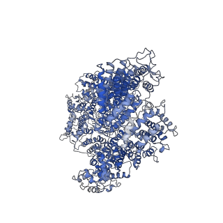 11050_6z2w_E_v1-4
Mec1-Ddc2 (F2244L mutant) in complex with Mg AMP-PNP