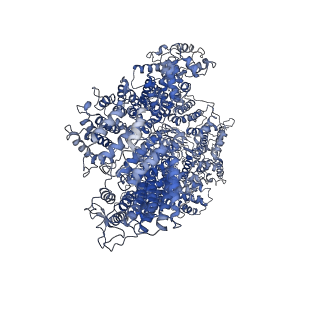 11050_6z2w_F_v1-4
Mec1-Ddc2 (F2244L mutant) in complex with Mg AMP-PNP