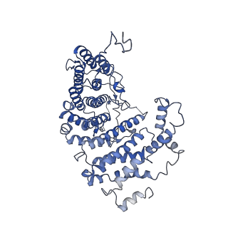 11051_6z2x_C_v1-4
Mec1-Ddc2 (F2244L mutant) in complex with Mg AMP-PNP (State II)