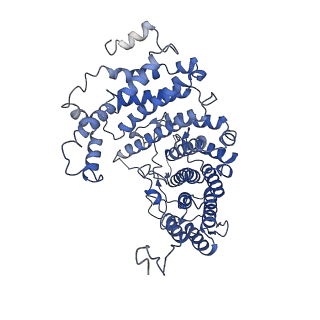 11051_6z2x_D_v1-4
Mec1-Ddc2 (F2244L mutant) in complex with Mg AMP-PNP (State II)