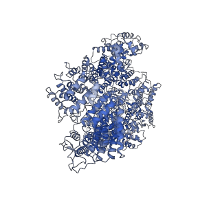 11051_6z2x_E_v1-4
Mec1-Ddc2 (F2244L mutant) in complex with Mg AMP-PNP (State II)