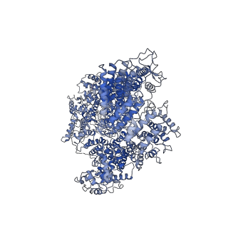11051_6z2x_F_v1-4
Mec1-Ddc2 (F2244L mutant) in complex with Mg AMP-PNP (State II)