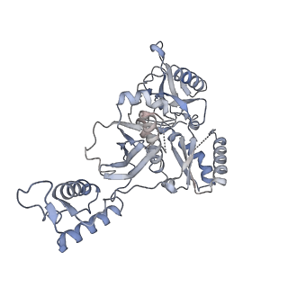 14458_7z29_B_v1-1
Cryo-EM structure of NNRTI resistant M184I/E138K mutant HIV-1 reverse transcriptase with a DNA aptamer in complex with nevirapine