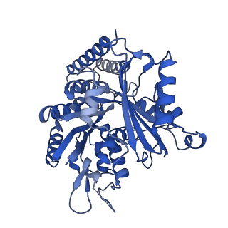 14460_7z2b_A_v1-1
P. berghei kinesin-8B motor domain in AMPPNP state bound to tubulin dimer