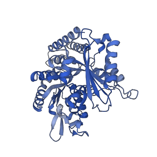 14460_7z2b_H_v1-1
P. berghei kinesin-8B motor domain in AMPPNP state bound to tubulin dimer