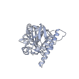 14460_7z2b_K_v1-1
P. berghei kinesin-8B motor domain in AMPPNP state bound to tubulin dimer