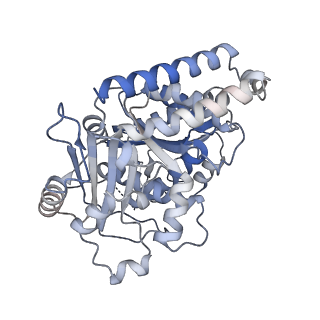 14461_7z2c_A_v1-1
P. falciparum kinesin-8B motor domain in no nucleotide bound to tubulin dimer