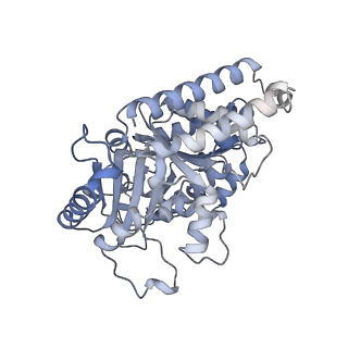 14461_7z2c_H_v1-1
P. falciparum kinesin-8B motor domain in no nucleotide bound to tubulin dimer
