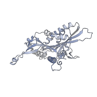 14461_7z2c_K_v1-1
P. falciparum kinesin-8B motor domain in no nucleotide bound to tubulin dimer