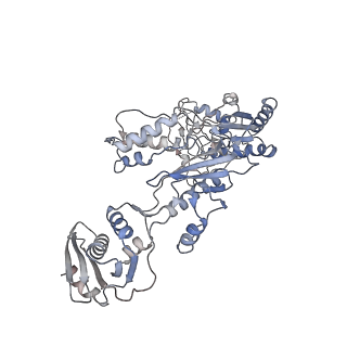 14462_7z2d_A_v1-1
Cryo-EM structure of HIV-1 reverse transcriptase with a DNA aptamer in complex with rilpivirine