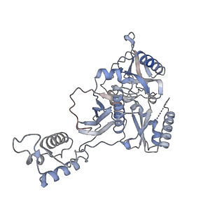 14462_7z2d_B_v1-1
Cryo-EM structure of HIV-1 reverse transcriptase with a DNA aptamer in complex with rilpivirine