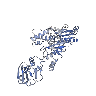 14465_7z2g_A_v1-2
Cryo-EM structure of HIV-1 reverse transcriptase with a DNA aptamer in complex with doravirine