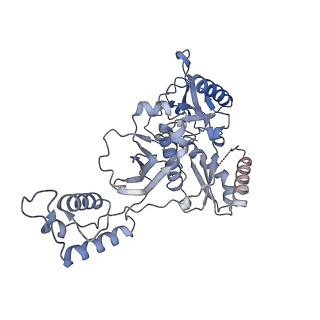 14465_7z2g_B_v1-2
Cryo-EM structure of HIV-1 reverse transcriptase with a DNA aptamer in complex with doravirine