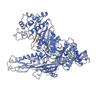 14468_7z2z_B_v1-0
Structure of yeast RNA Polymerase III-DNA-Ty1 integrase complex (Pol III-DNA-IN1) at 3.1 A