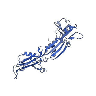 14468_7z2z_C_v1-0
Structure of yeast RNA Polymerase III-DNA-Ty1 integrase complex (Pol III-DNA-IN1) at 3.1 A