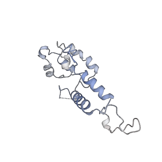 14468_7z2z_D_v1-0
Structure of yeast RNA Polymerase III-DNA-Ty1 integrase complex (Pol III-DNA-IN1) at 3.1 A