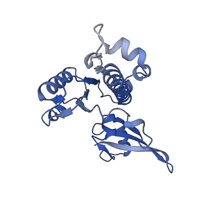 14468_7z2z_E_v1-0
Structure of yeast RNA Polymerase III-DNA-Ty1 integrase complex (Pol III-DNA-IN1) at 3.1 A