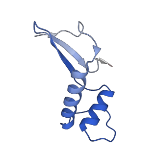 14468_7z2z_F_v1-0
Structure of yeast RNA Polymerase III-DNA-Ty1 integrase complex (Pol III-DNA-IN1) at 3.1 A