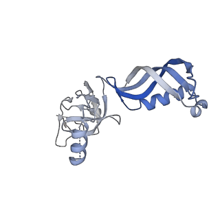 14468_7z2z_G_v1-0
Structure of yeast RNA Polymerase III-DNA-Ty1 integrase complex (Pol III-DNA-IN1) at 3.1 A