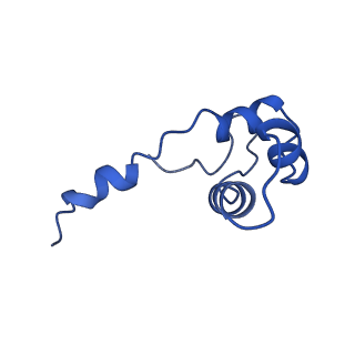 14468_7z2z_J_v1-0
Structure of yeast RNA Polymerase III-DNA-Ty1 integrase complex (Pol III-DNA-IN1) at 3.1 A