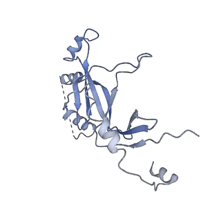14468_7z2z_M_v1-0
Structure of yeast RNA Polymerase III-DNA-Ty1 integrase complex (Pol III-DNA-IN1) at 3.1 A