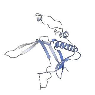 14468_7z2z_N_v1-0
Structure of yeast RNA Polymerase III-DNA-Ty1 integrase complex (Pol III-DNA-IN1) at 3.1 A