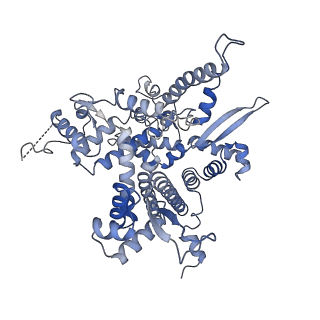 14468_7z2z_O_v1-0
Structure of yeast RNA Polymerase III-DNA-Ty1 integrase complex (Pol III-DNA-IN1) at 3.1 A