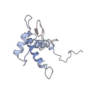 14468_7z2z_P_v1-0
Structure of yeast RNA Polymerase III-DNA-Ty1 integrase complex (Pol III-DNA-IN1) at 3.1 A