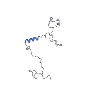 14468_7z2z_Q_v1-0
Structure of yeast RNA Polymerase III-DNA-Ty1 integrase complex (Pol III-DNA-IN1) at 3.1 A