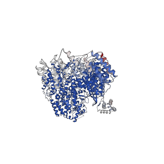 11063_6z3r_A_v1-1
Structure of SMG1-8-9 kinase complex bound to UPF1-LSQ