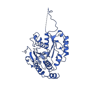 11063_6z3r_C_v1-1
Structure of SMG1-8-9 kinase complex bound to UPF1-LSQ